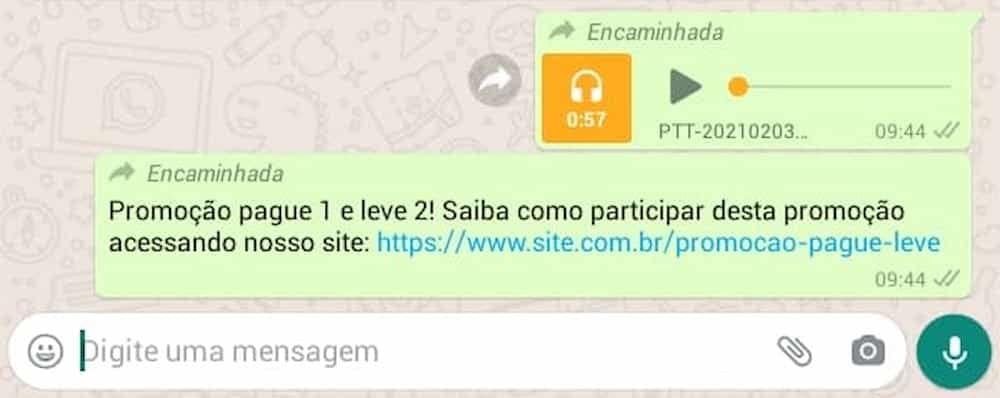 Print do WhatsApp, áudio de promoção.