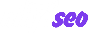 Ninja SEO - Agência Especialista em SEO