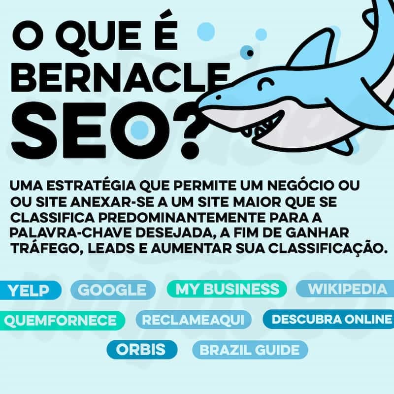O que é bernacle SEO